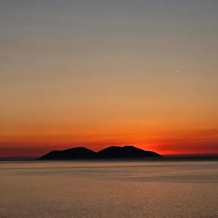 فيلة Noar فلورا